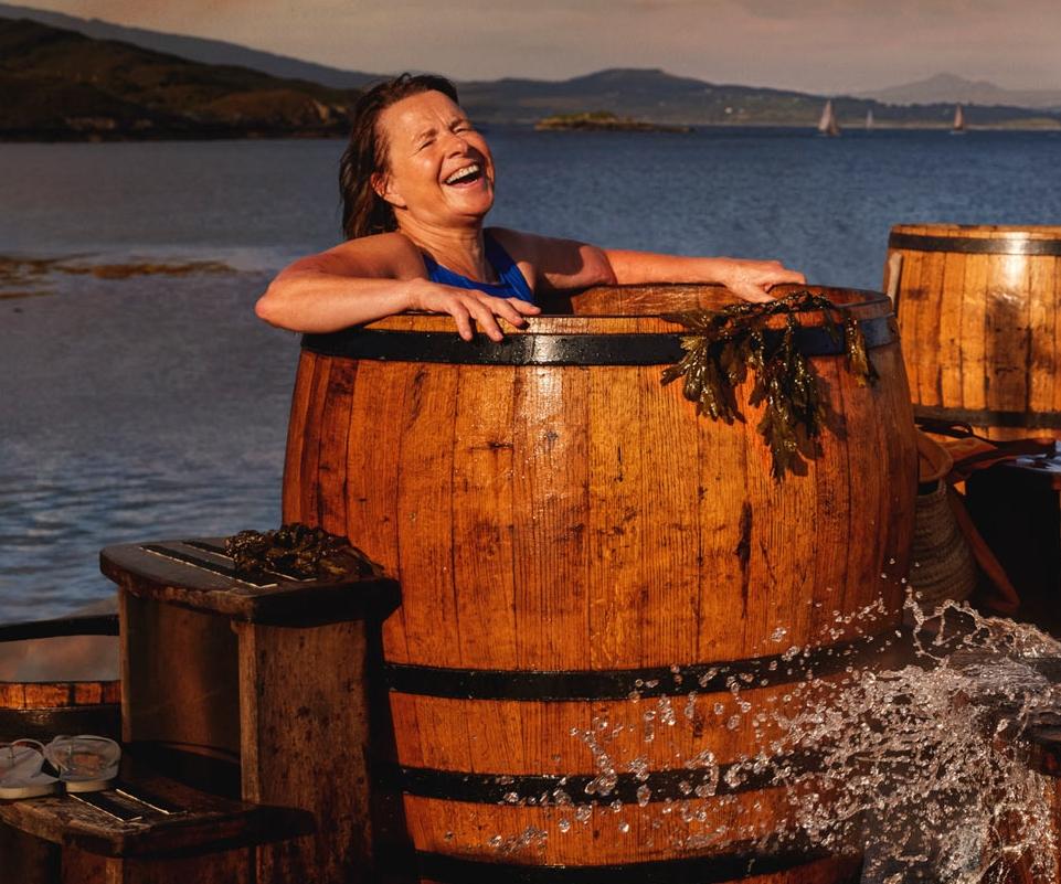 Failte Ireland <br> Agency : Core