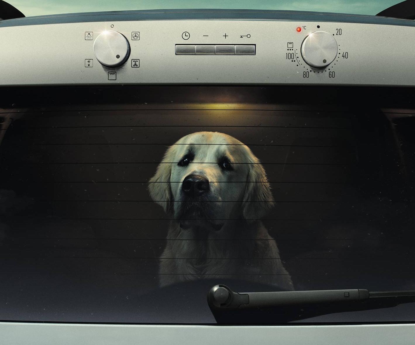 Skoda <br> Agency : Boys + Girls
